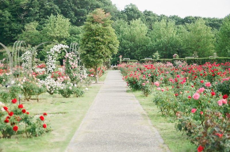 Jardinería